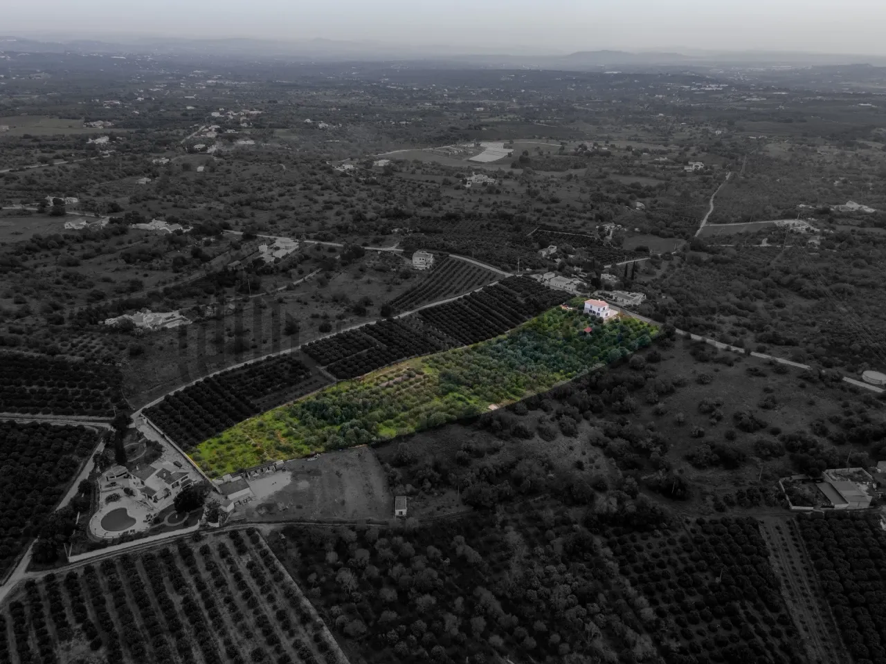 3-Bedroom Algarve House with Expansive Citrus Orchard and Rural Potential - Image 4