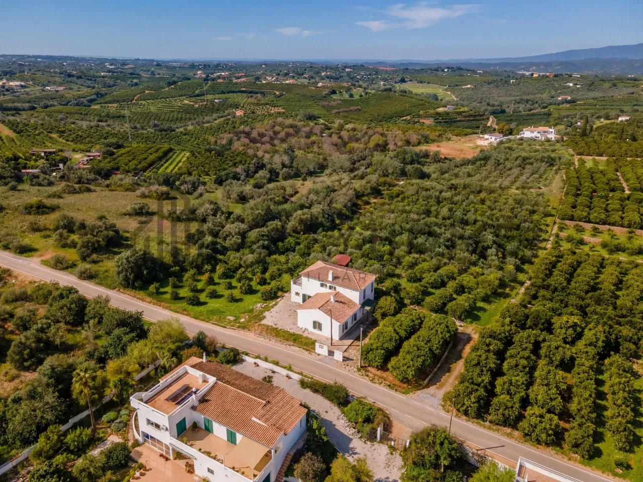 3-Bedroom Algarve House with Expansive Citrus Orchard and Rural Potential - Image 5
