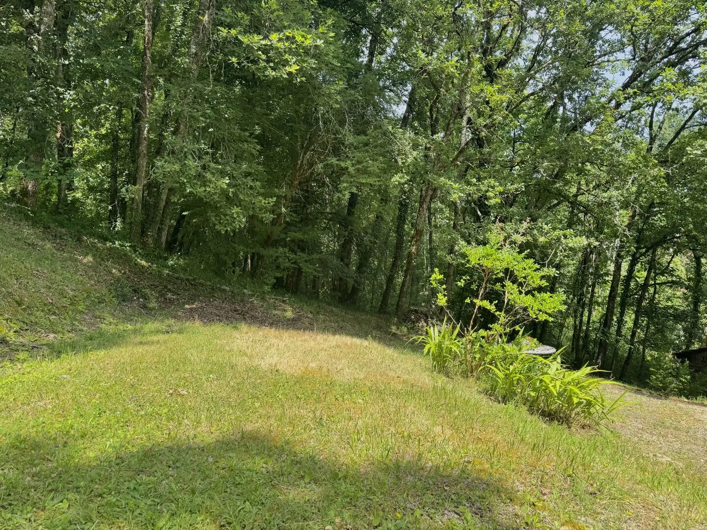 3-Bedroom House with Expansive Garden in Le Bugue's Historic Périgord Noir - Image 4