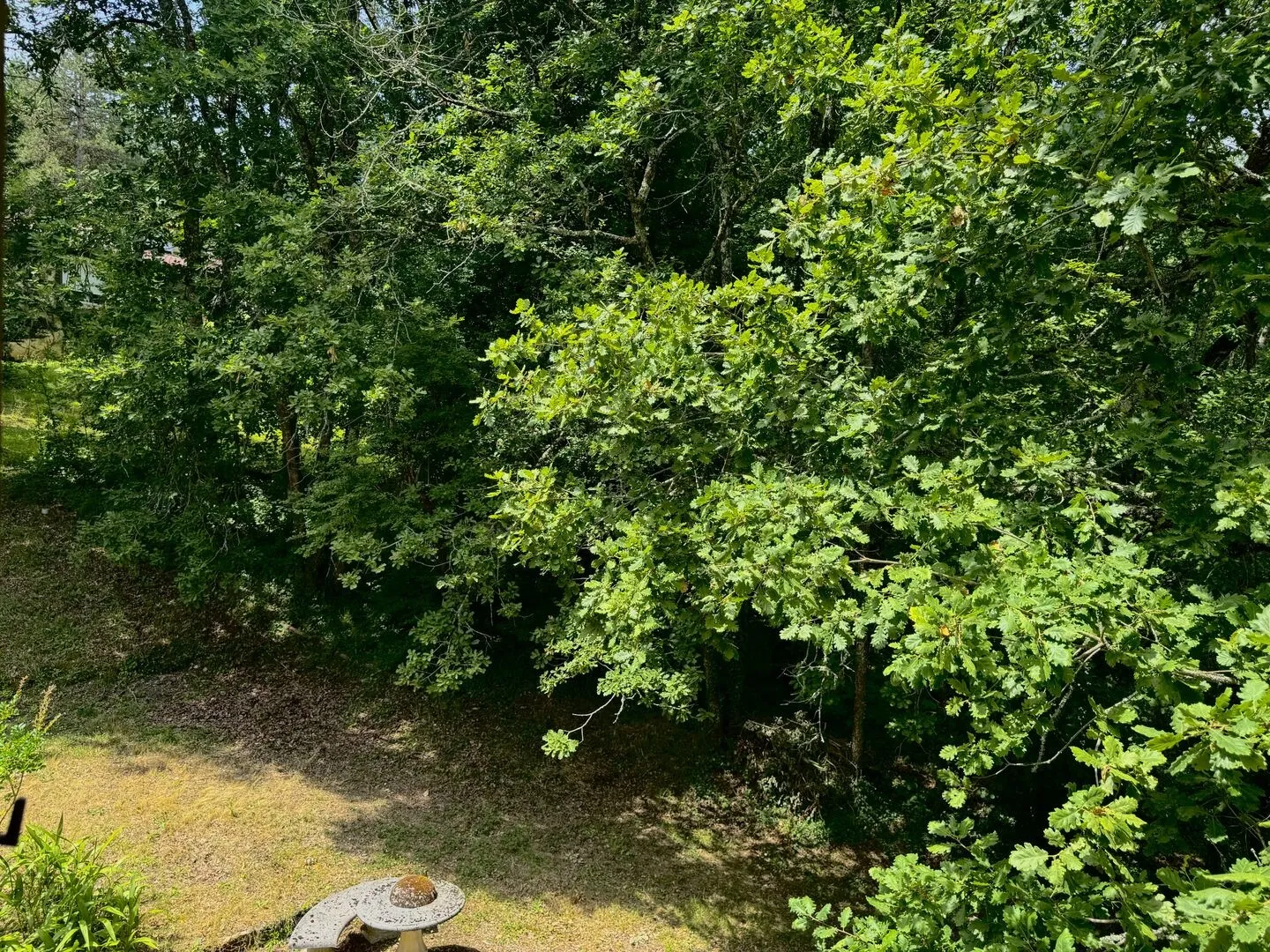 3-Bedroom House with Expansive Garden in Le Bugue's Historic Périgord Noir - View image 14 of 27