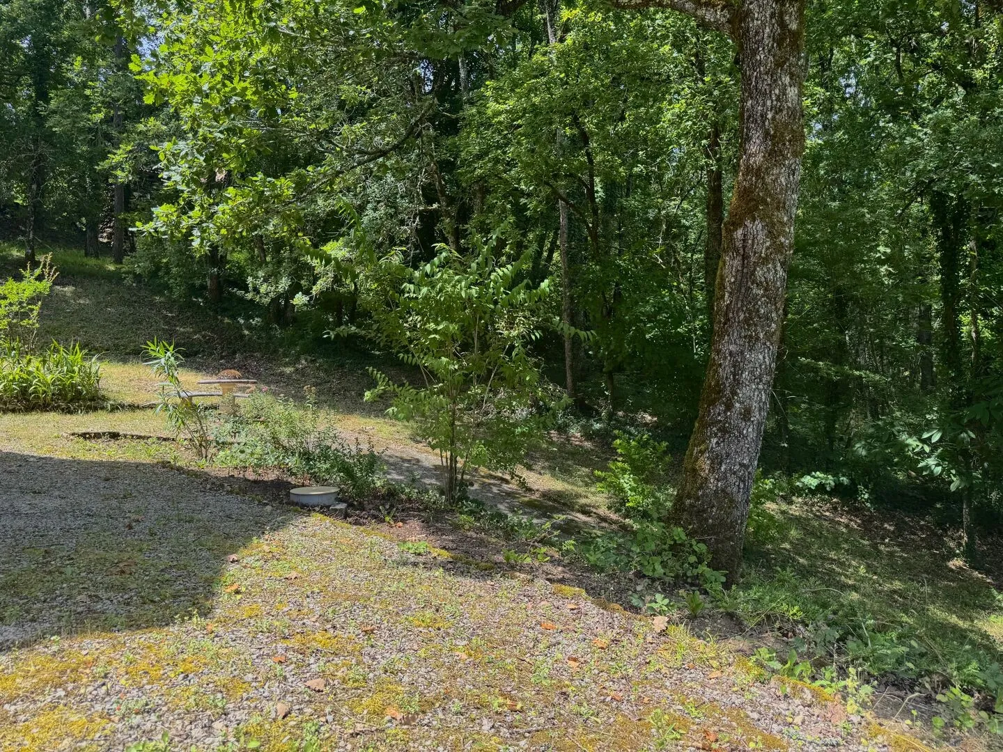 3-Bedroom House with Expansive Garden in Le Bugue's Historic Périgord Noir - View image 24 of 27