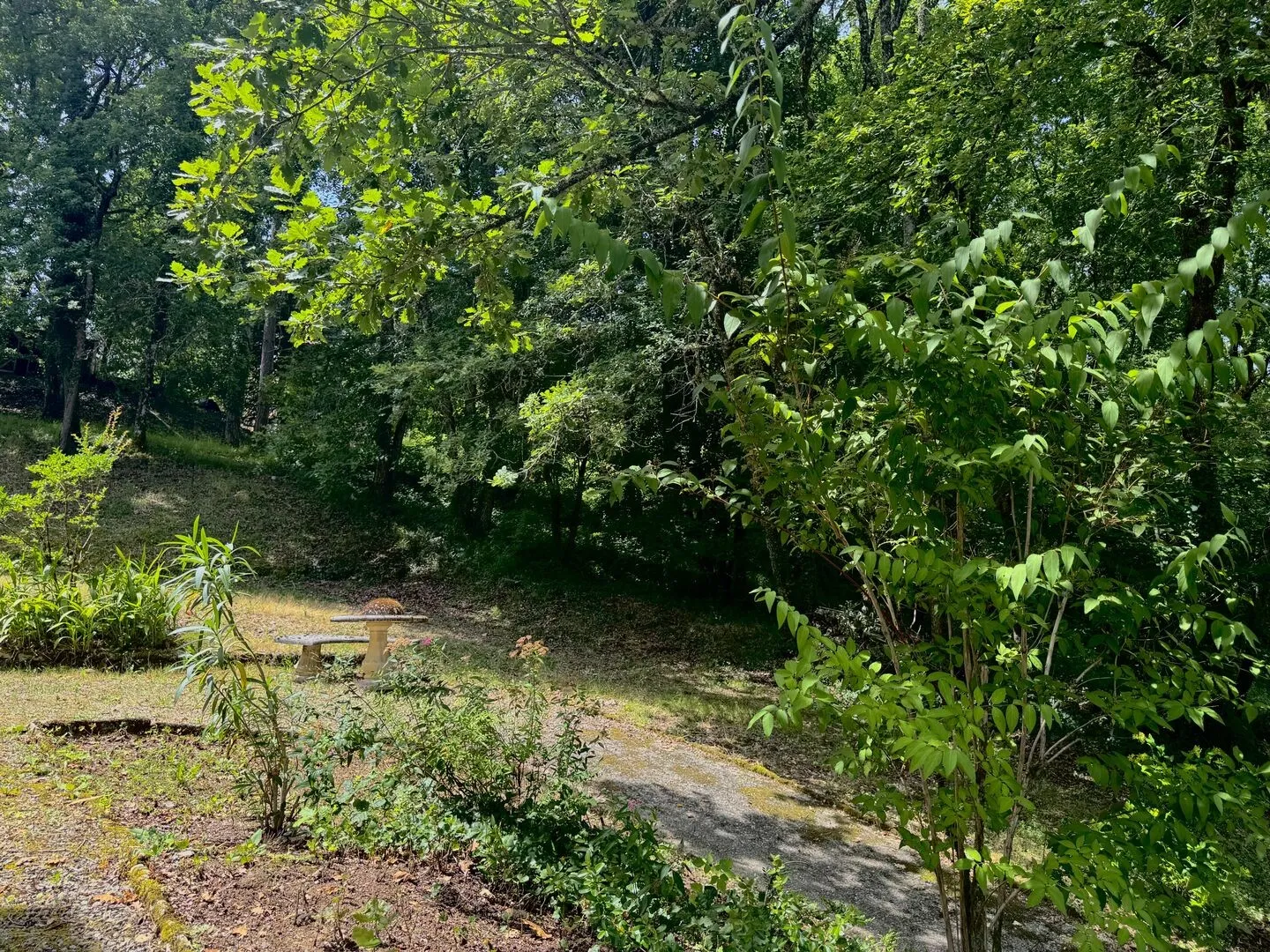 3-Bedroom House with Expansive Garden in Le Bugue's Historic Périgord Noir - View image 25 of 27