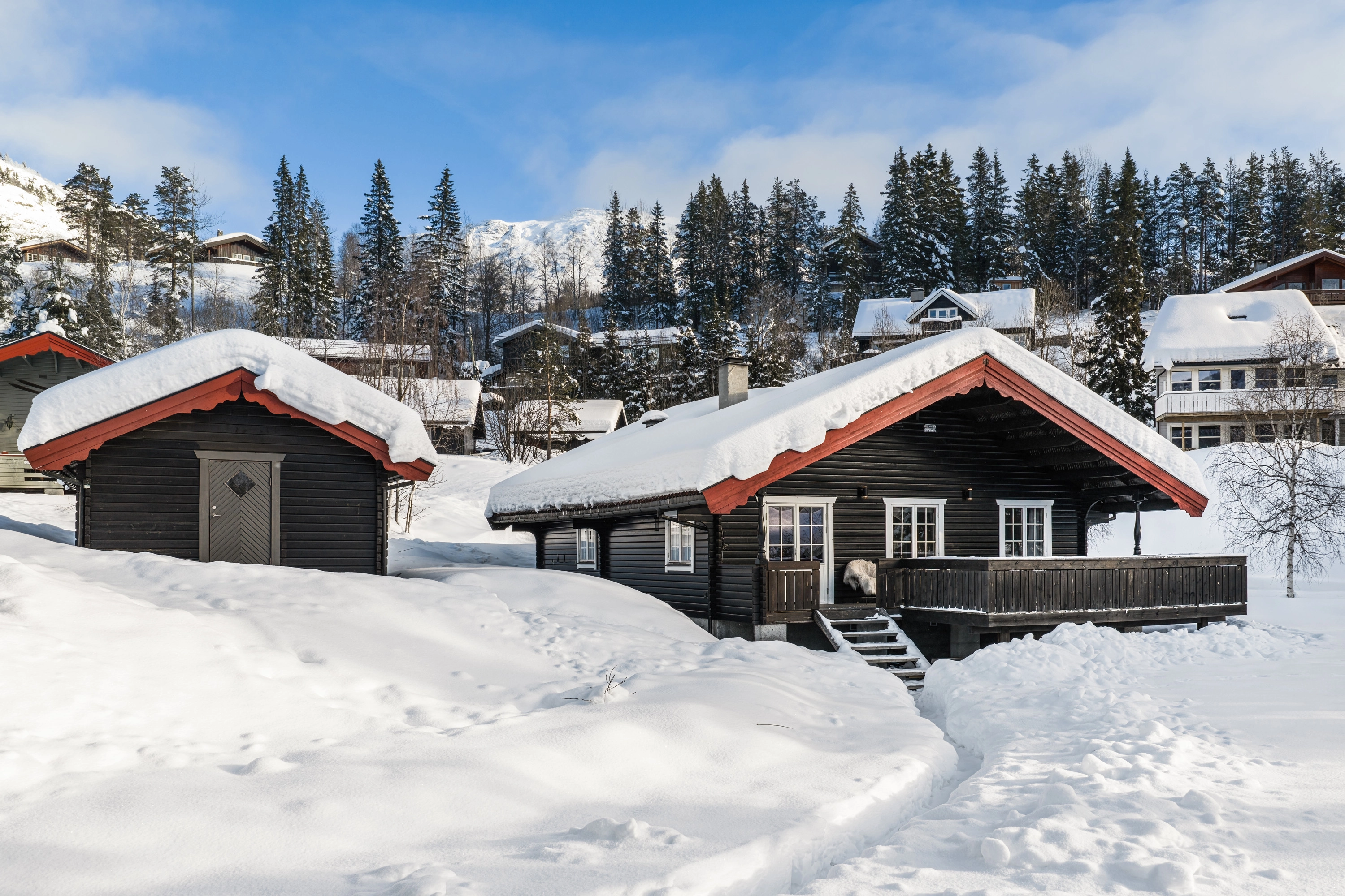 Casa de 3 dormitorios con una amplia terraza en el centro de Hemsedal, Noruega - Ver imagen 29 de 38