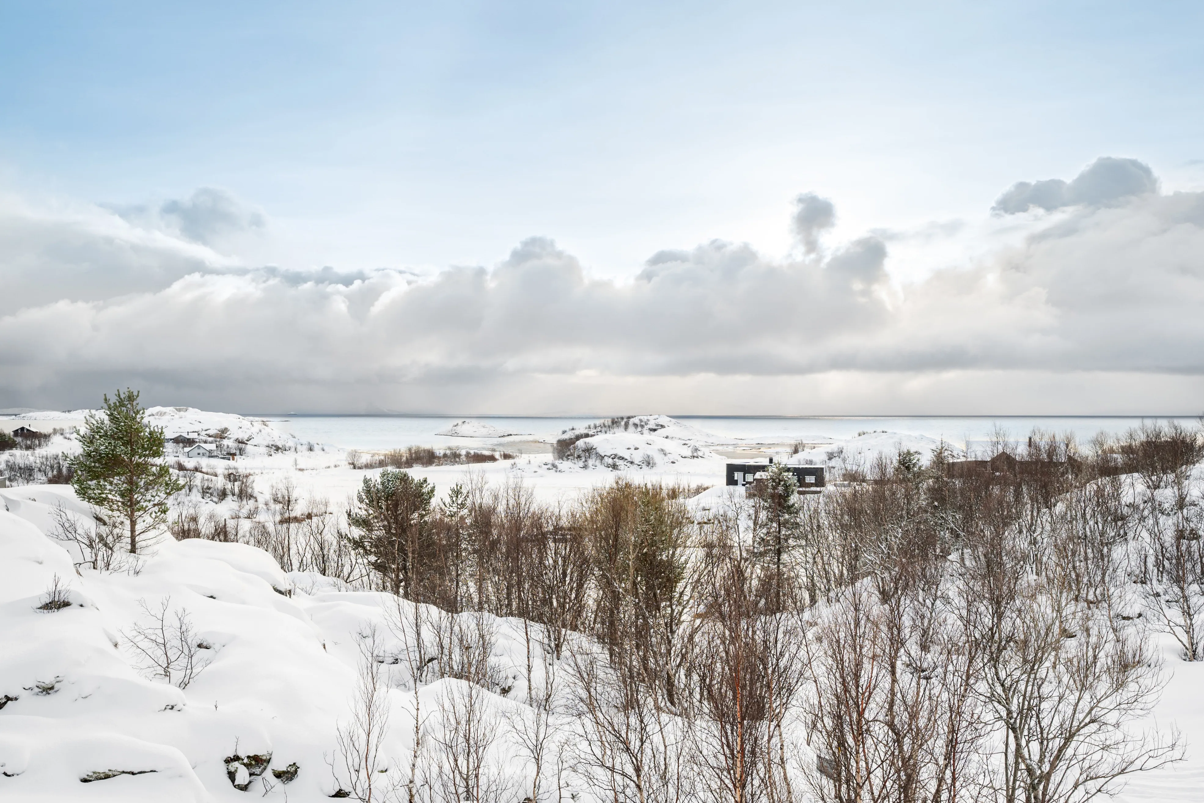 Modern 4-Bedroom Cabin with Expansive Terrace in Lødingen - View image 42 of 46