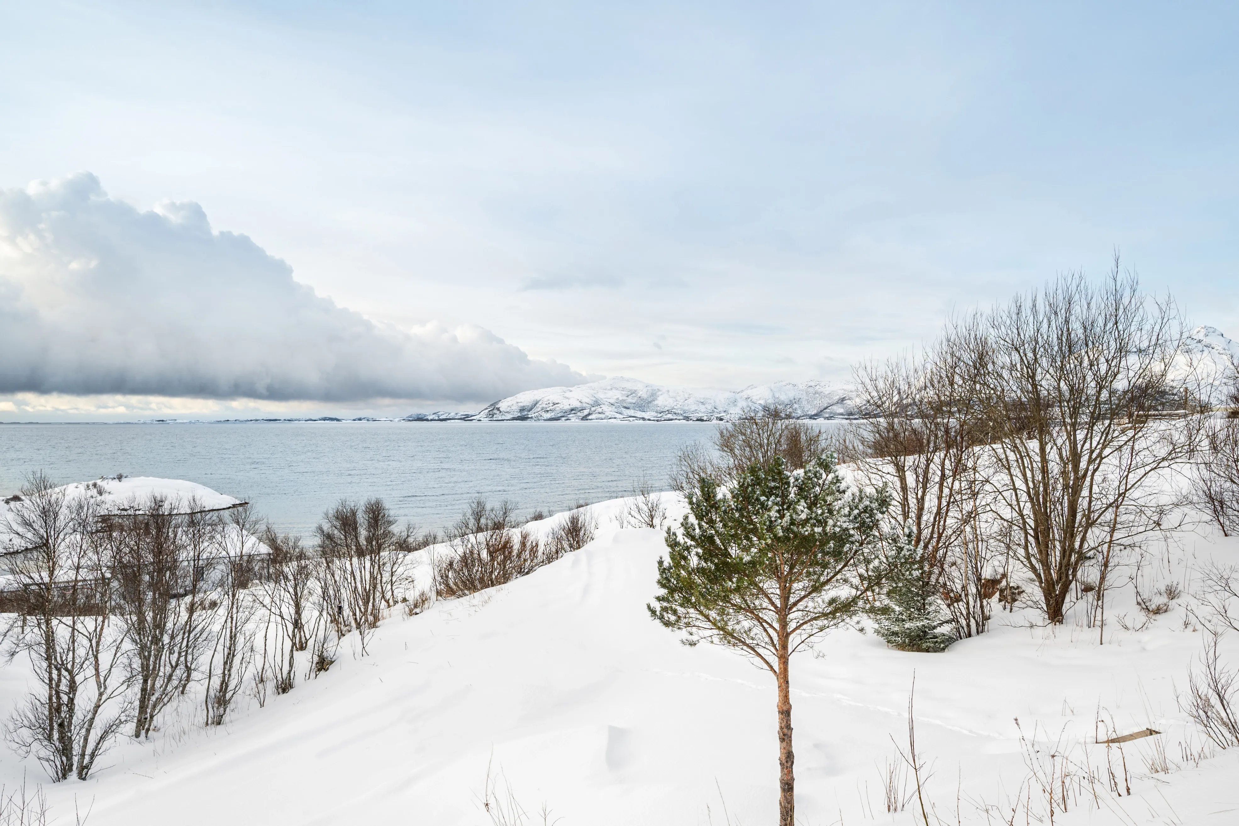 Modern 4-Bedroom Cabin with Expansive Terrace in Lødingen - View image 43 of 46