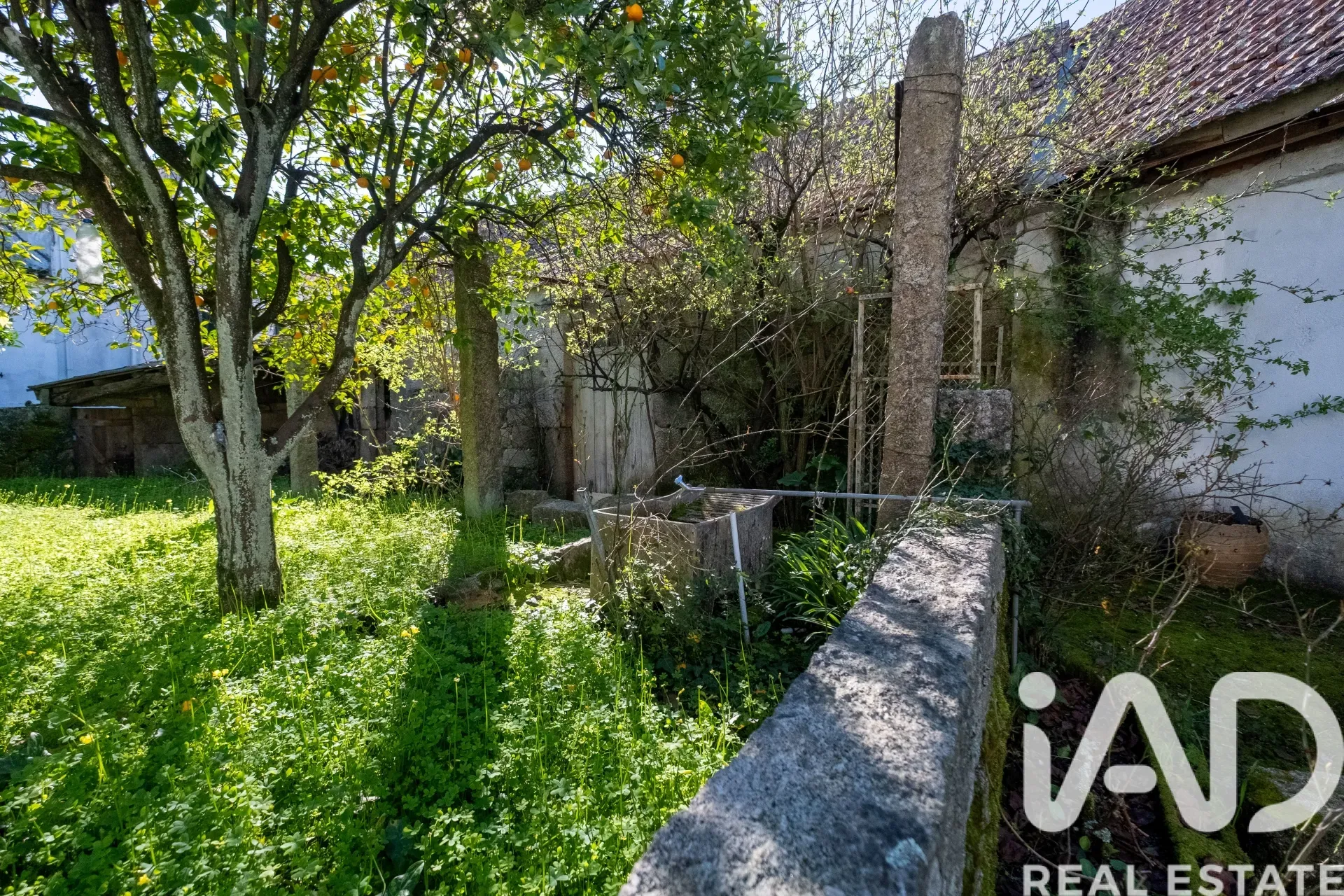 1930s 5-Bedroom House with Garden and Terrace in Scenic Erdeval, Portugal - Image 5