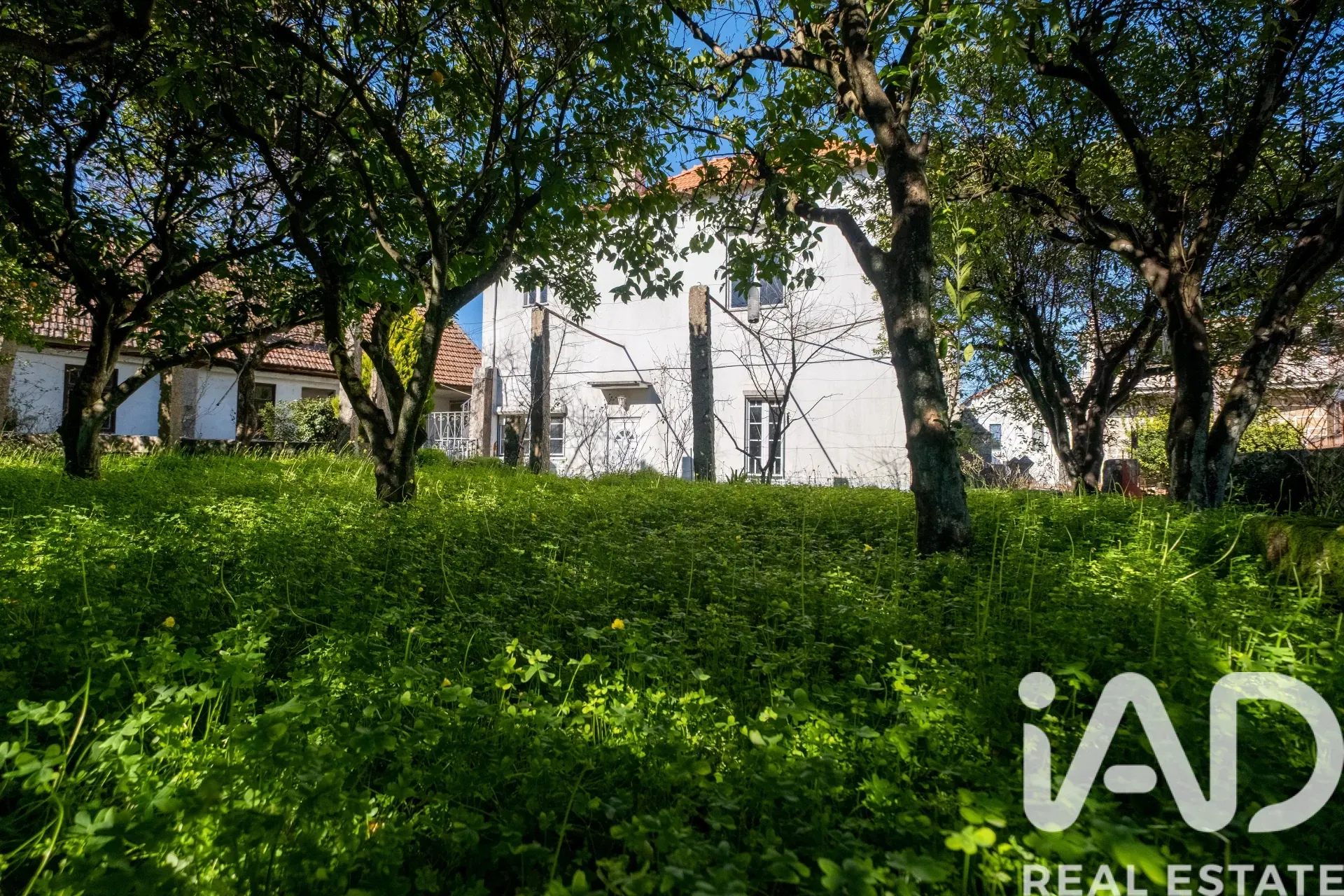 1930s 5-Bedroom House with Garden and Terrace in Scenic Erdeval, Portugal - View image 29 of 37
