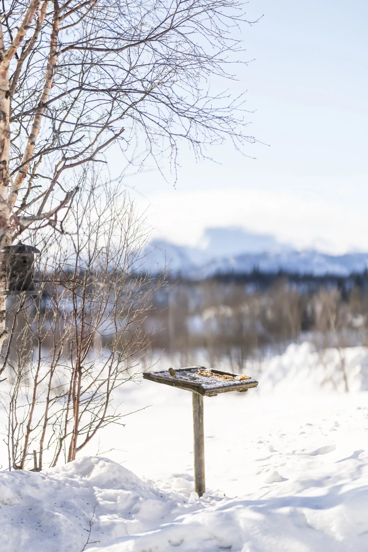 1960s Hemsedal Cabin with Mountain Views and Outdoor Recreation - View image 27 of 32
