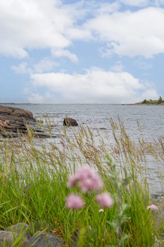 1909 Swedish Coastal Retreat with Expansive Gardens in Loftahammar - View image 33 of 58