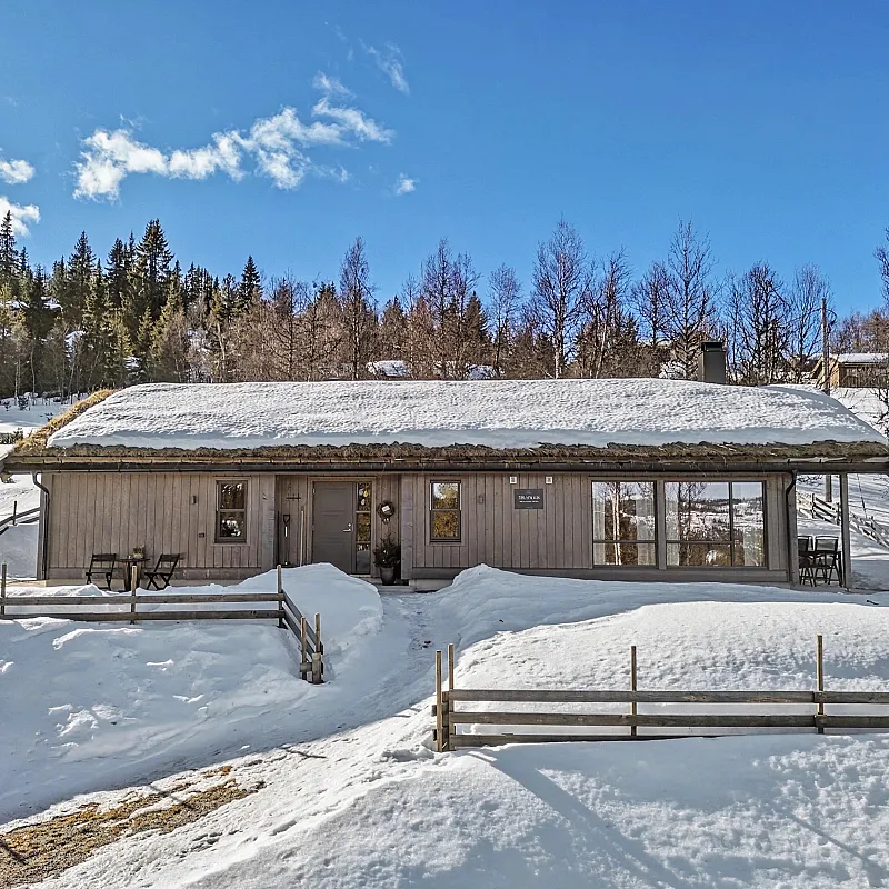 Modern 4-Bedroom Cabin with Panoramic Views in Scenic Nesbyen, Norway