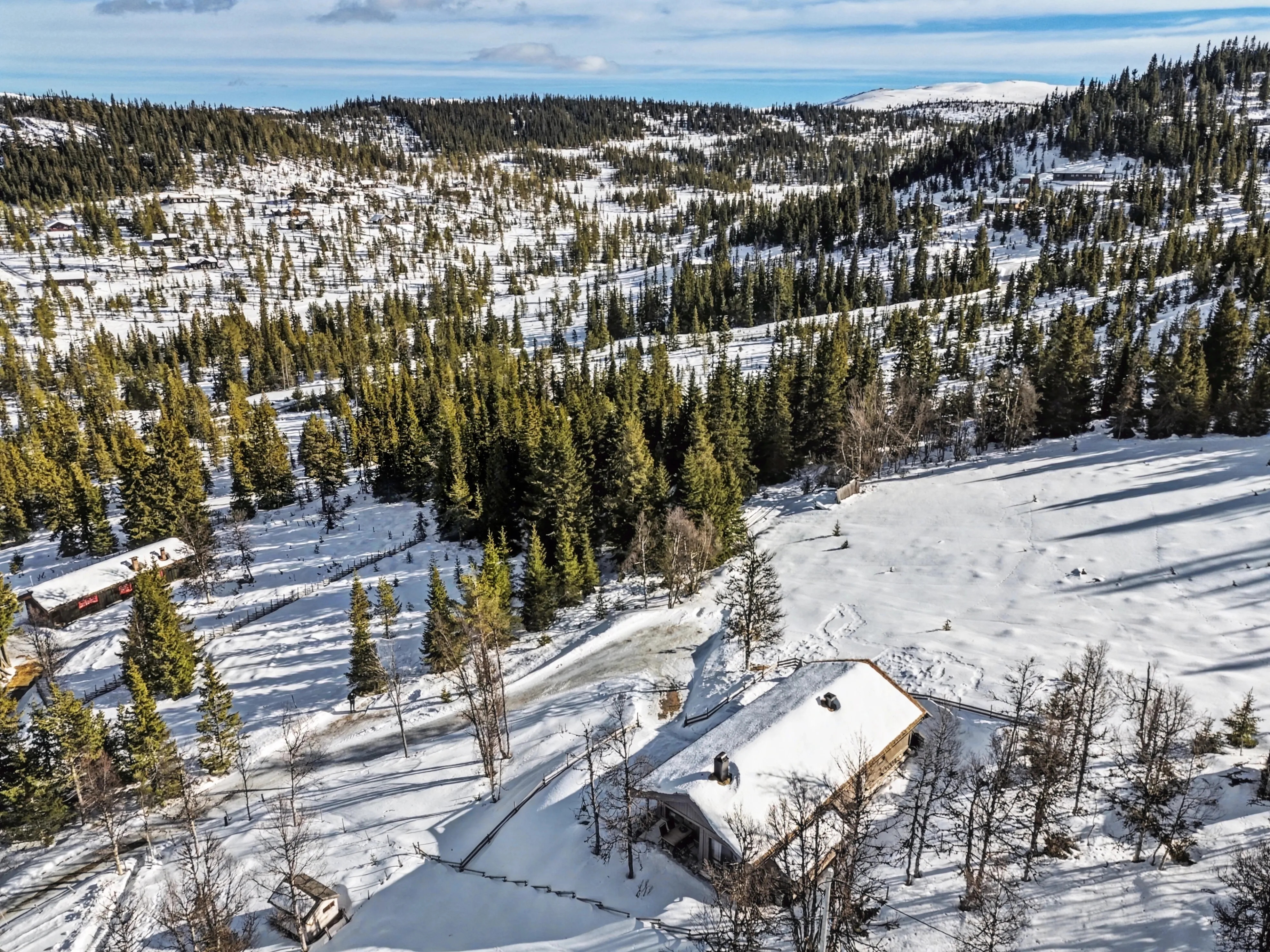 Modern 4-Bedroom Cabin with Panoramic Views in Scenic Nesbyen, Norway - View image 44 of 47