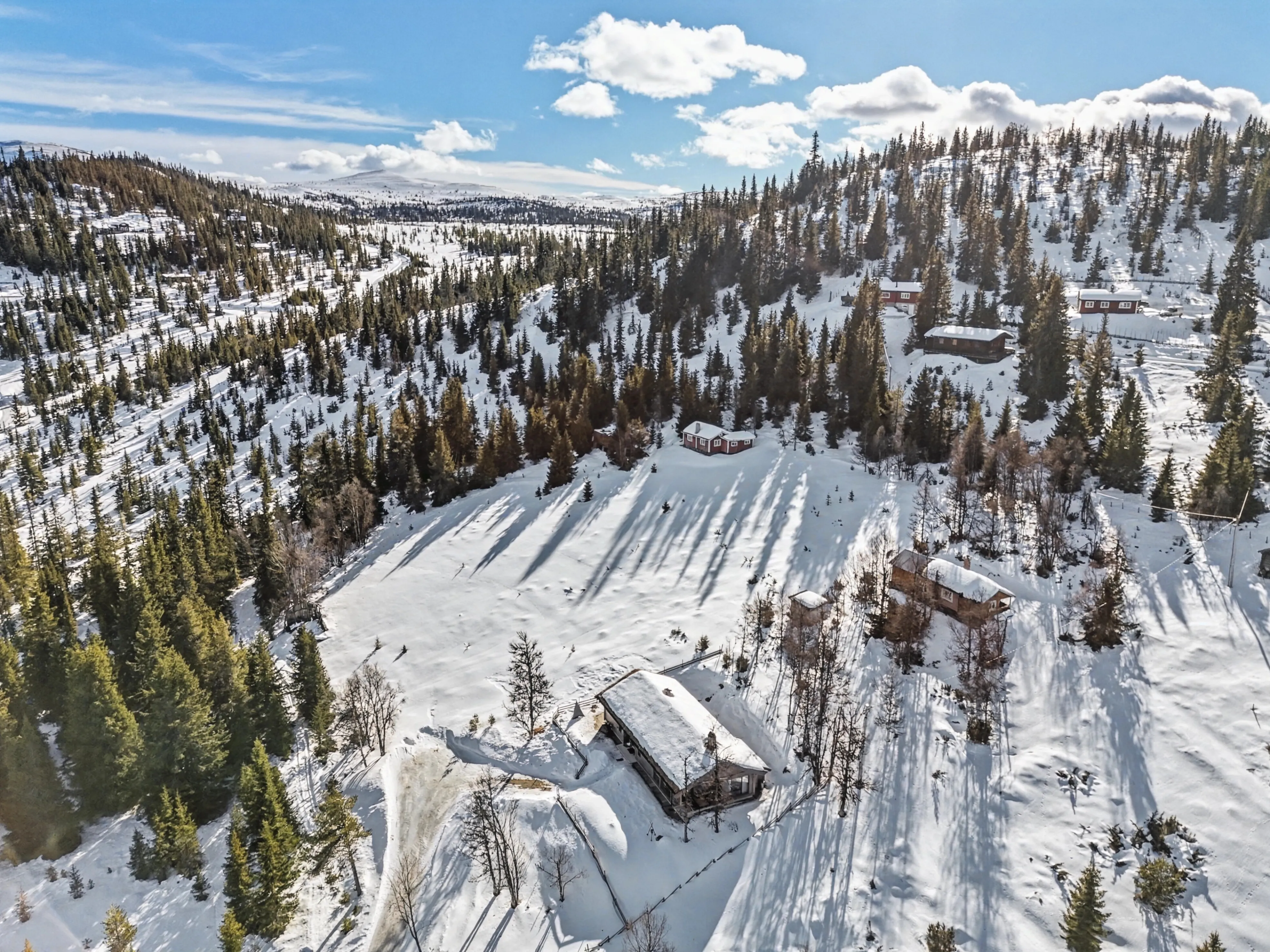 Modern 4-Bedroom Cabin with Panoramic Views in Scenic Nesbyen, Norway - View image 45 of 47