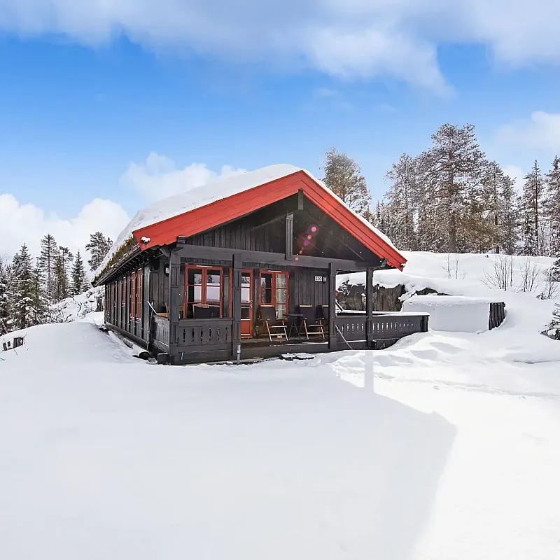 Contemporary 3-Bedroom House with Terrace in Scenic Rauland, Norway