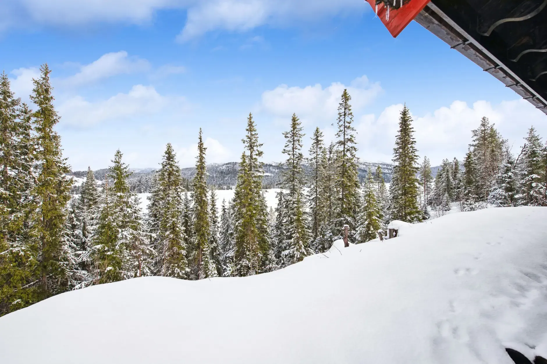 Contemporary 3-Bedroom House with Terrace in Scenic Rauland, Norway - Image 3