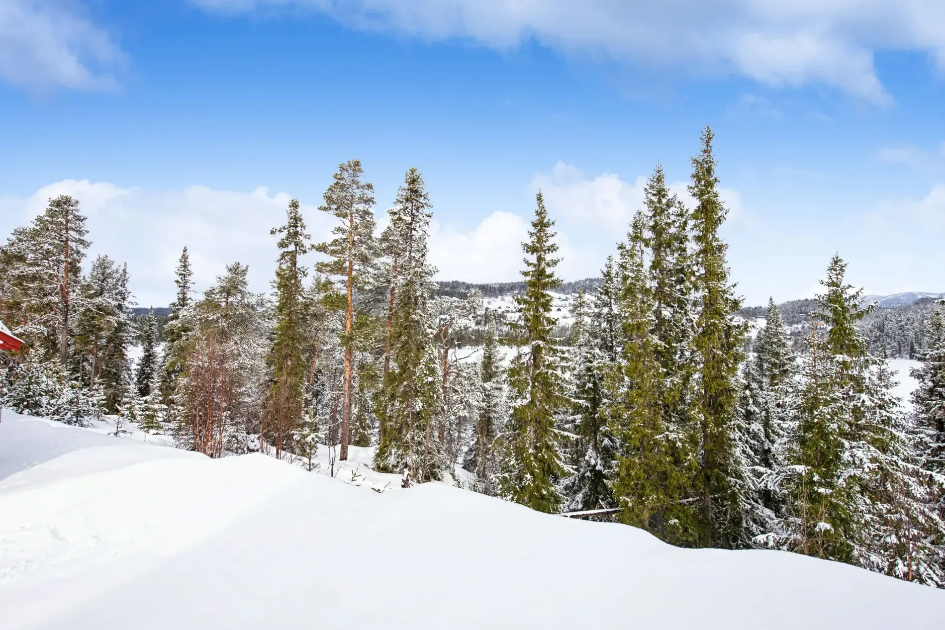 Contemporary 3-Bedroom House with Terrace in Scenic Rauland, Norway - Image 4