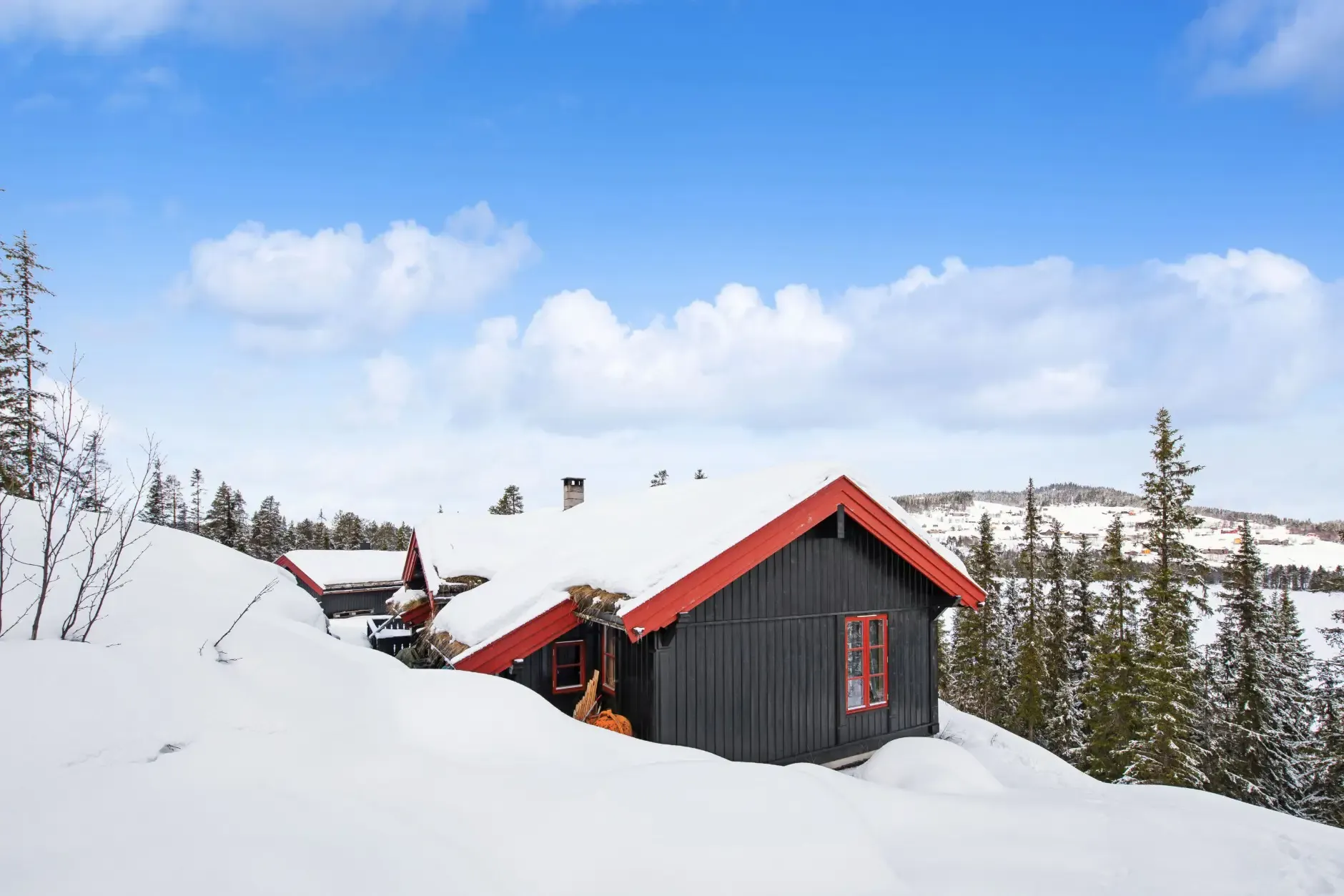 Contemporary 3-Bedroom House with Terrace in Scenic Rauland, Norway - View image 21 of 24