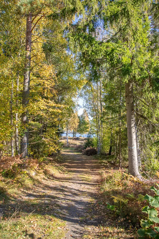 1970s Swedish Island Home with Expansive Garden and Terrace - View image 18 of 51