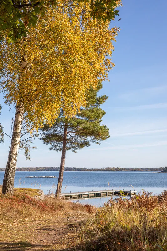 1970s Swedish Island Home with Expansive Garden and Terrace - View image 19 of 51