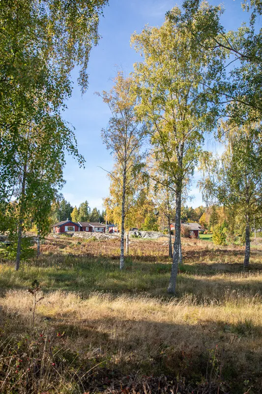 1970s Swedish Island Home with Expansive Garden and Terrace - View image 26 of 51