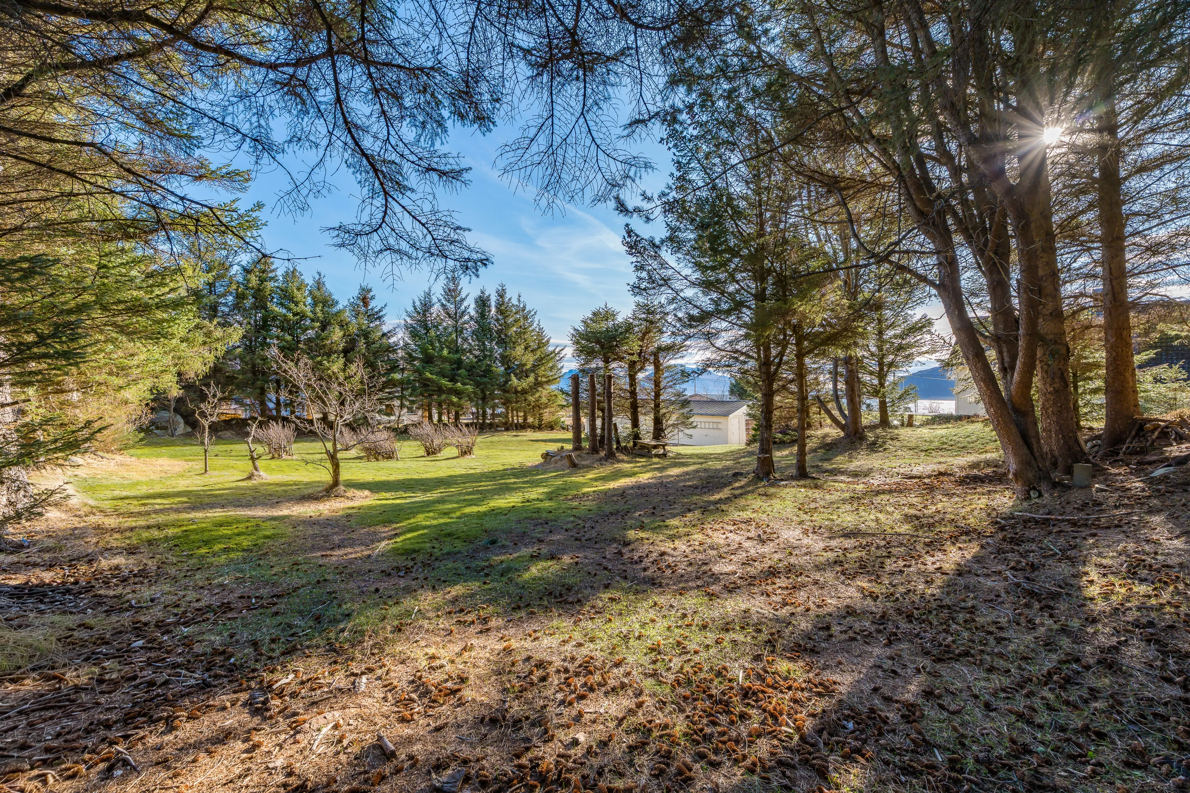 1960s Spacious 5-Bedroom House with Expansive Grounds in Fjørtoft, Norway - View image 41 of 51