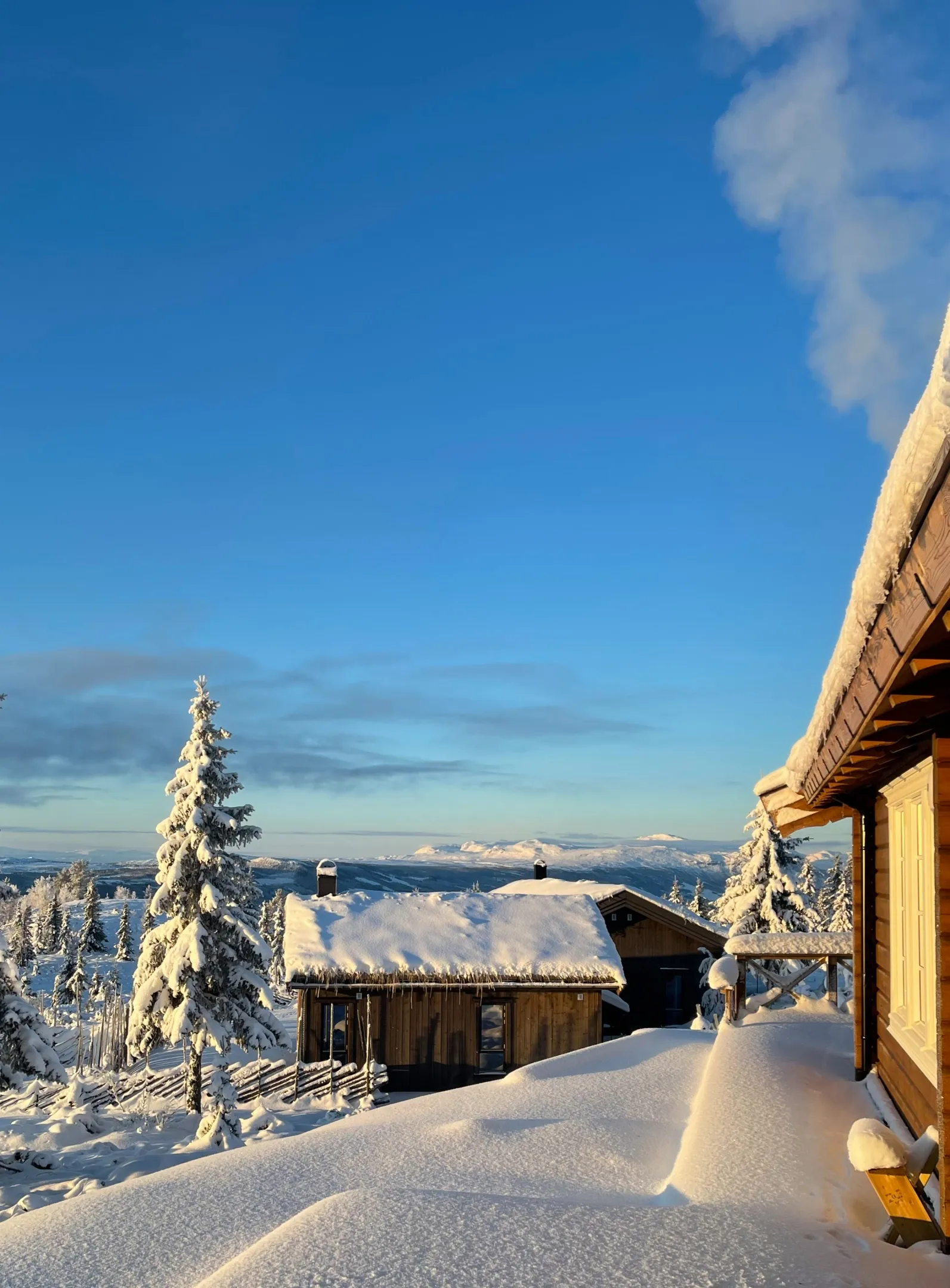 Modern 3-Bedroom Country House with Scenic Views in Gol, Norway - View image 29 of 37