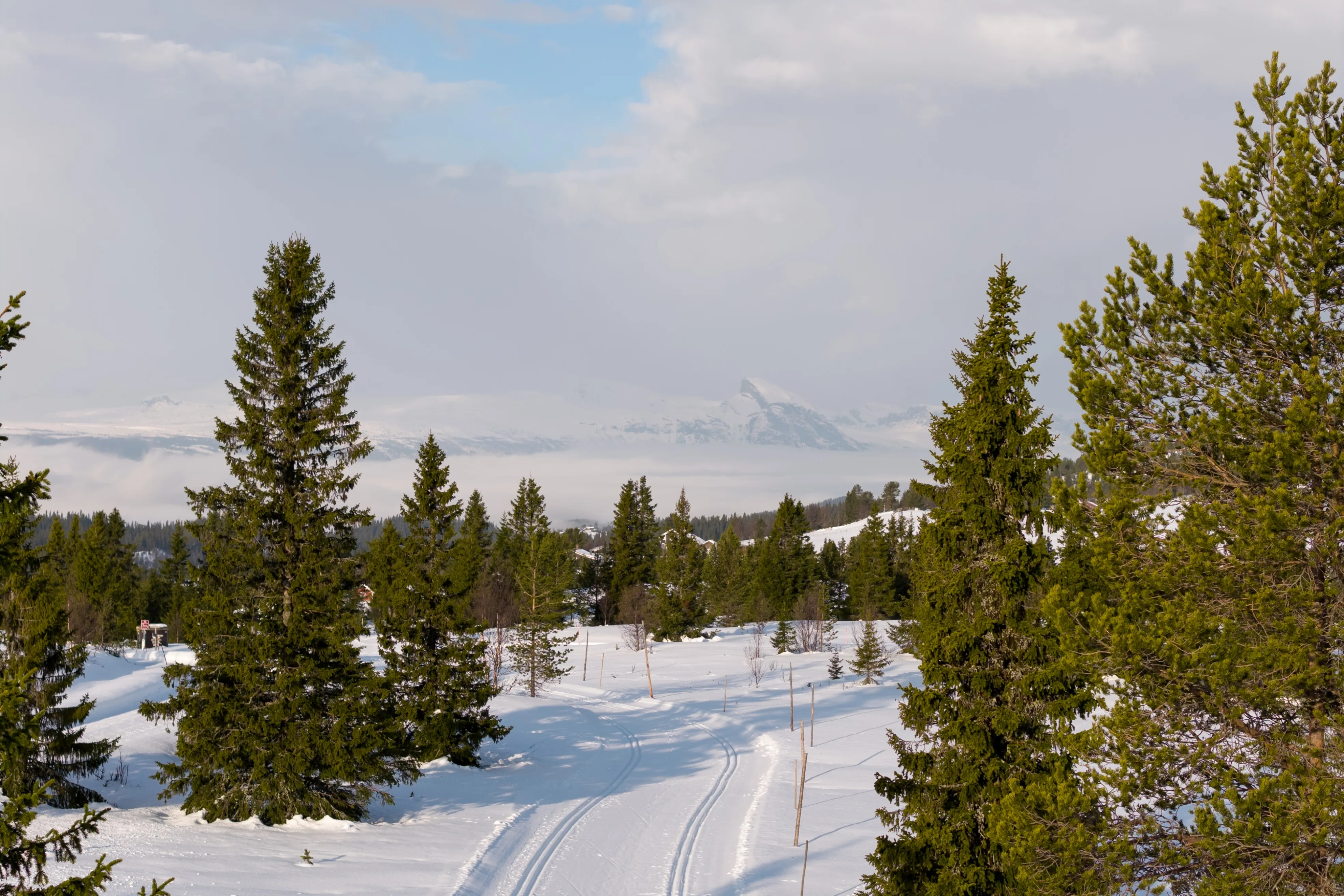 Modern 3-Bedroom Country House with Scenic Views in Gol, Norway - View image 32 of 37