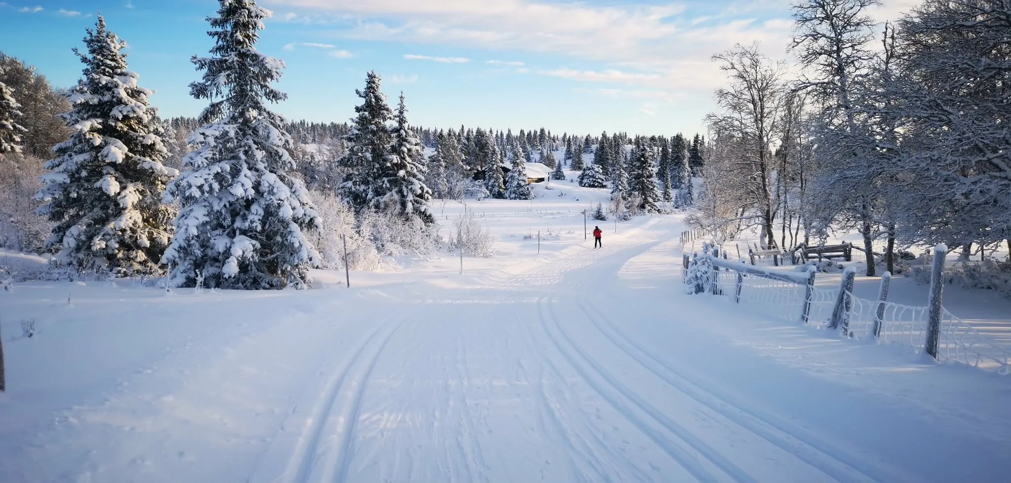 Modern 3-Bedroom Country House with Scenic Views in Gol, Norway - View image 33 of 37