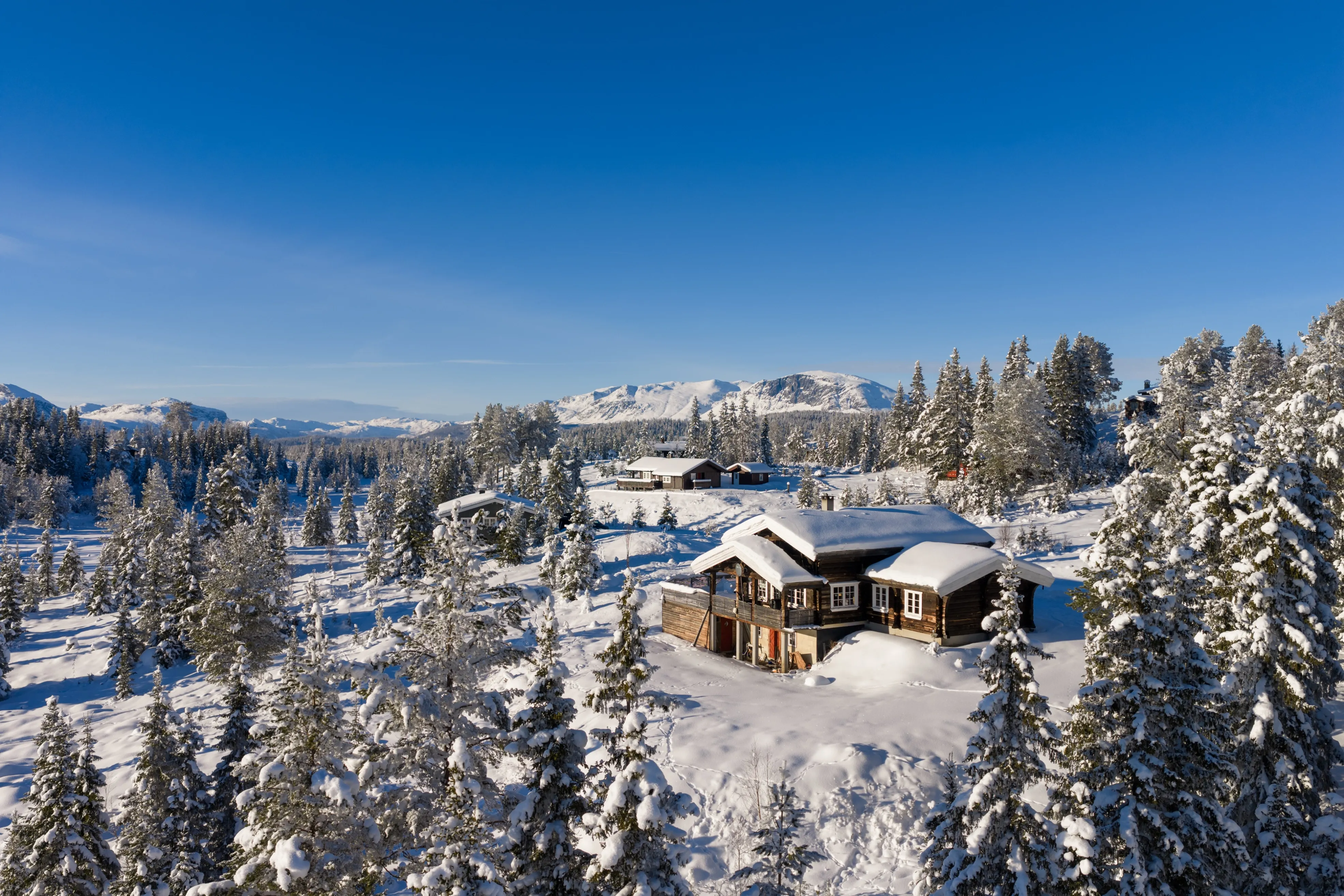 Family-Friendly 4-Bedroom Cabin with Garden and Terrace in Gol, Norway - Image 1