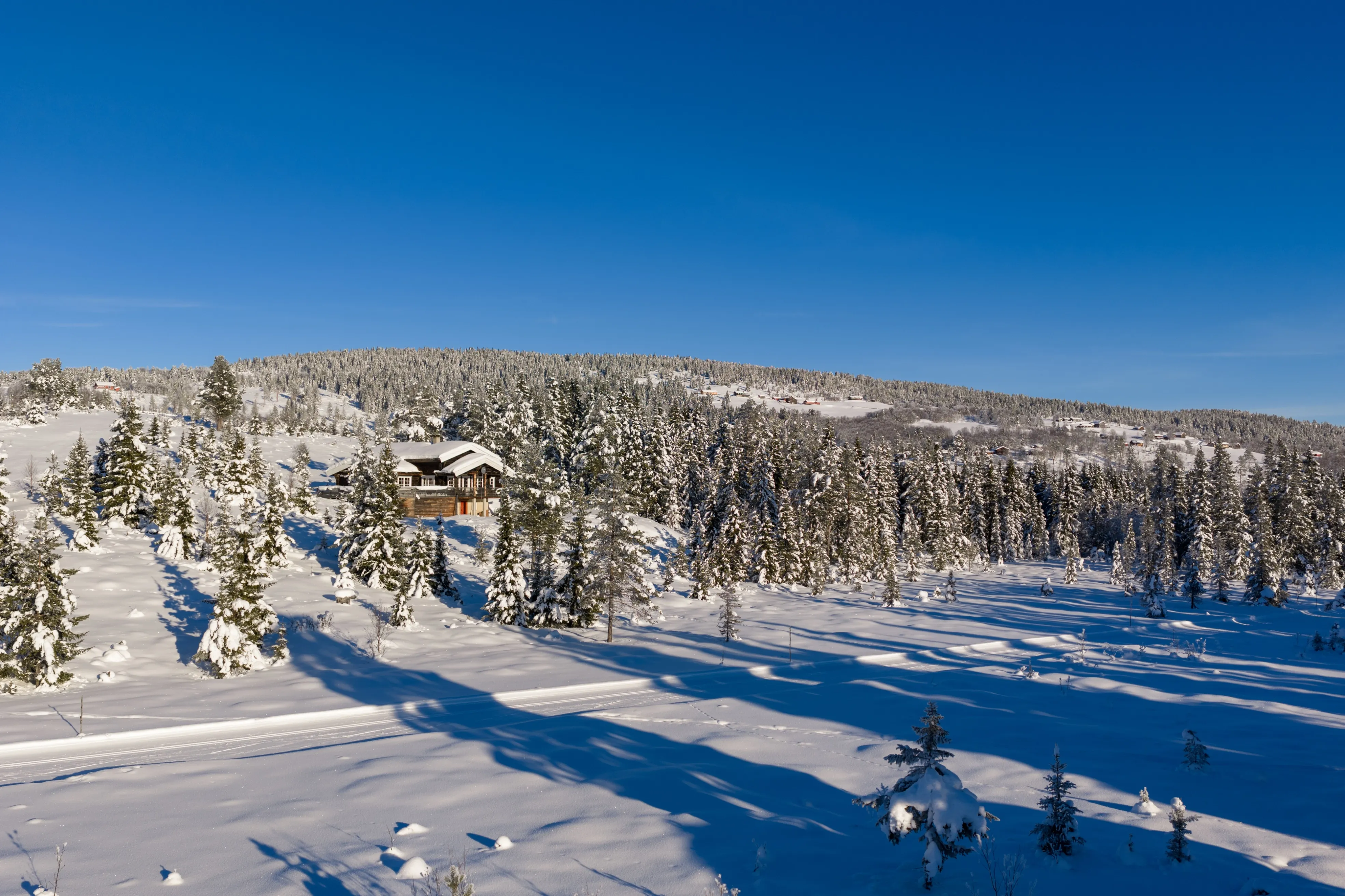 Family-Friendly 4-Bedroom Cabin with Garden and Terrace in Gol, Norway - View image 40 of 47