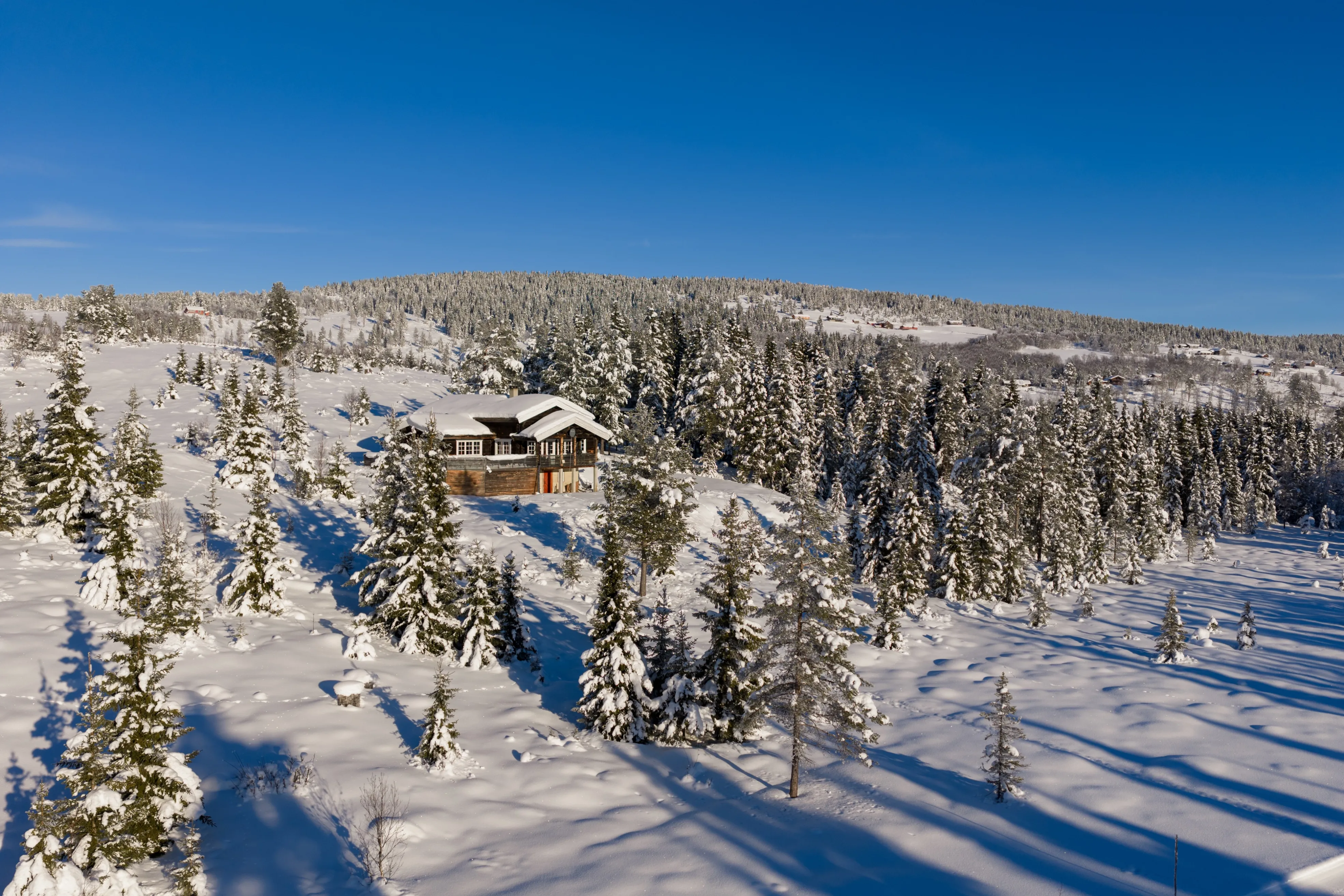 Family-Friendly 4-Bedroom Cabin with Garden and Terrace in Gol, Norway - View image 41 of 47