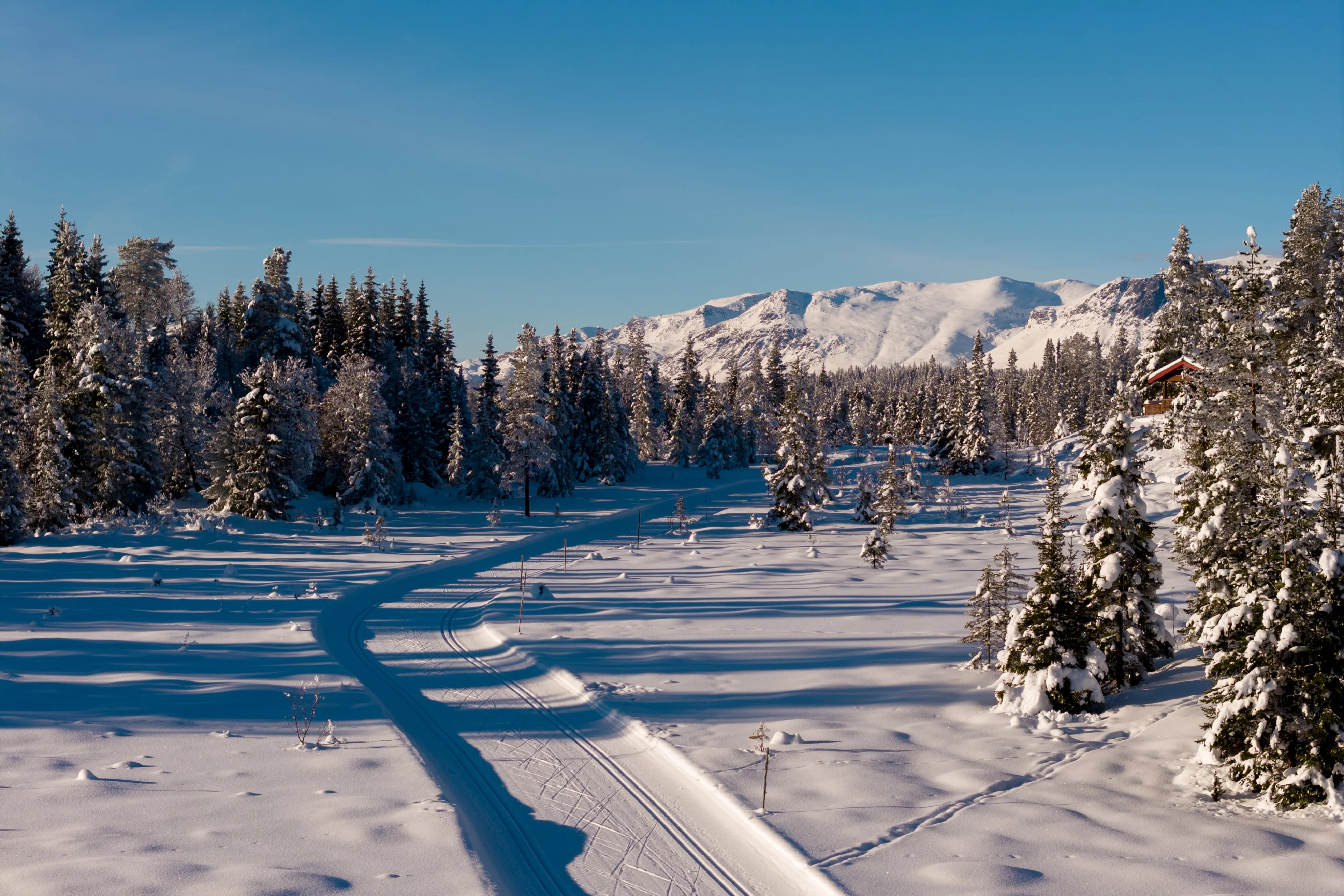 Family-Friendly 4-Bedroom Cabin with Garden and Terrace in Gol, Norway - View image 46 of 47