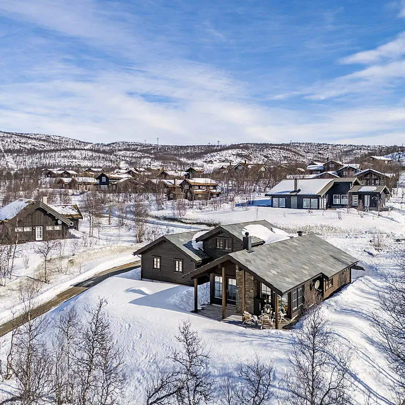 Contemporary 4-Bedroom Chalet with Sauna and Garden in Hol, Norway