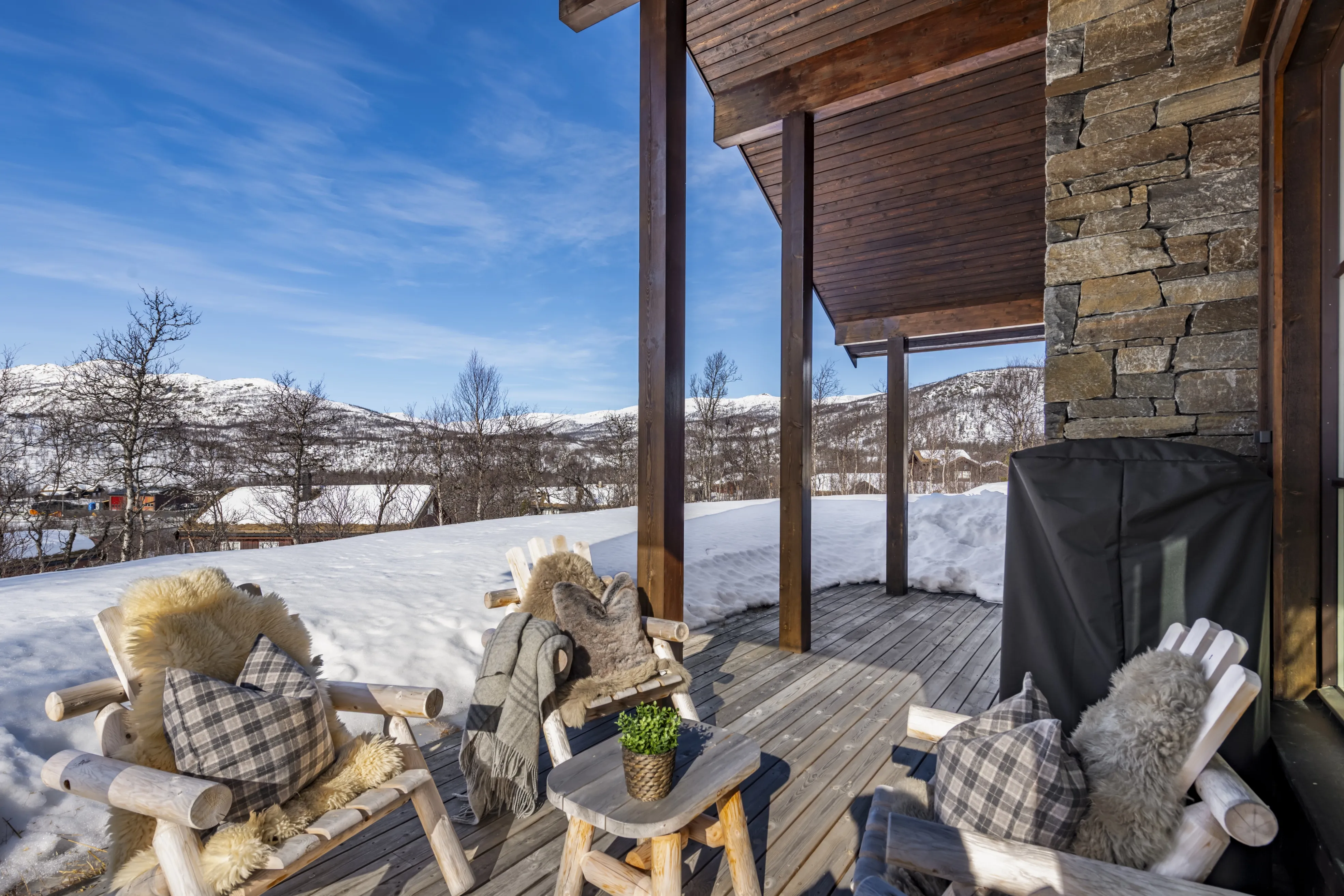 Contemporary 4-Bedroom Chalet with Sauna and Garden in Hol, Norway - View image 59 of 71