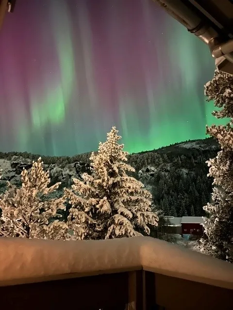 Romslig norsk hus fra 1980-tallet med terrasse og parkeringsplass i Hol - Vis bilde 50 av 50