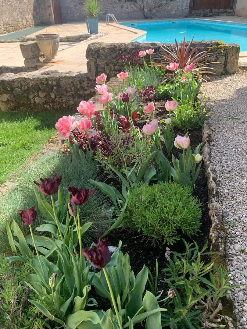 4-Bedroom Stone House with Pool in Dordogne's Historic Heart - View image 28 of 34