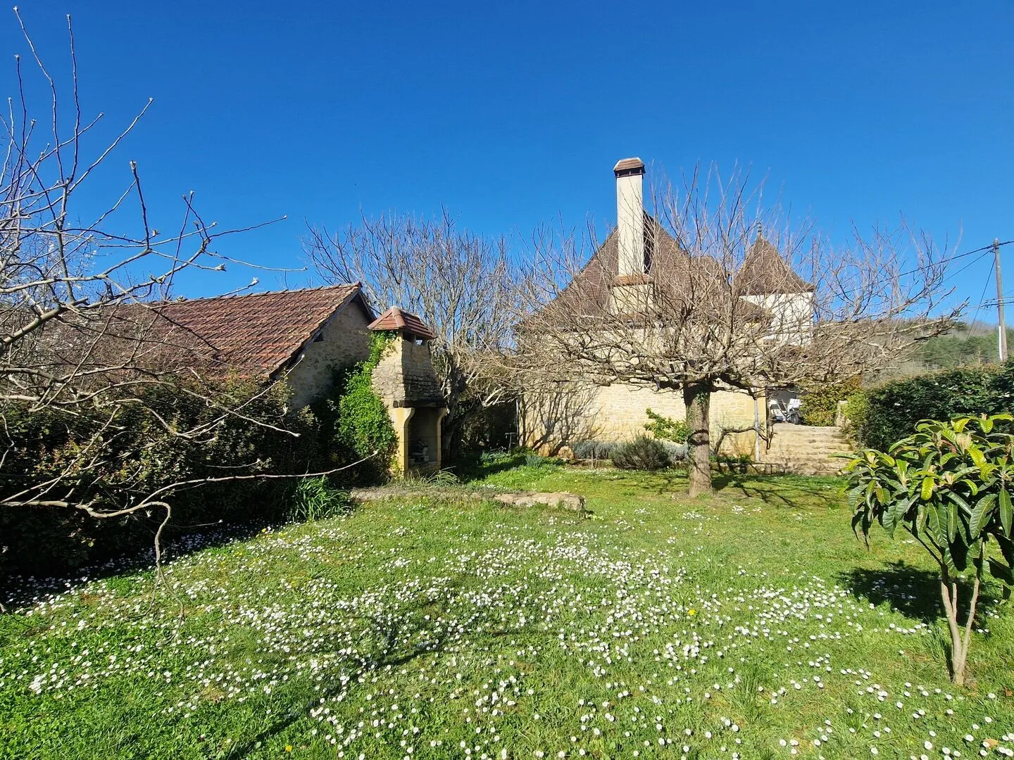 Perigordine House with Tower and Expansive Garden in Le Bugue, France - View image 22 of 33