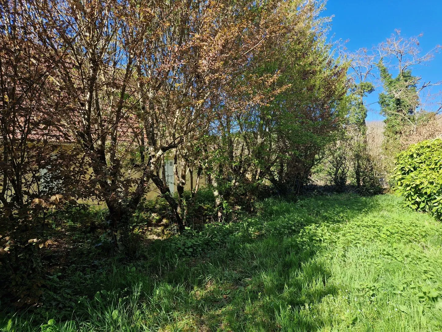 Perigordine House with Tower and Expansive Garden in Le Bugue, France - View image 28 of 33