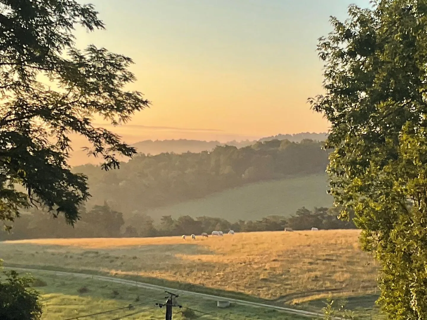 Historic 4-Bedroom House with Pool and Barns in Scenic Montignac, France - Image 3