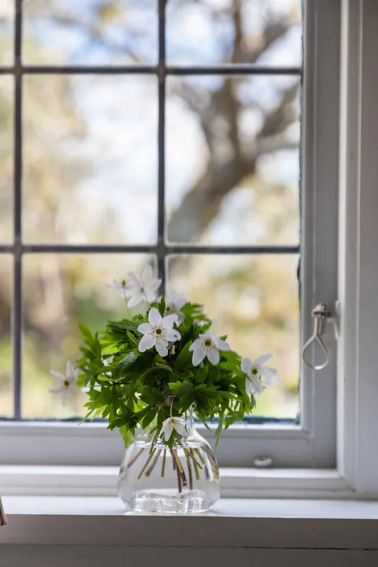 Mid-Century 3-Bedroom Cabin with Expansive Grounds in Scenic Dalarö, Sweden - View image 40 of 50