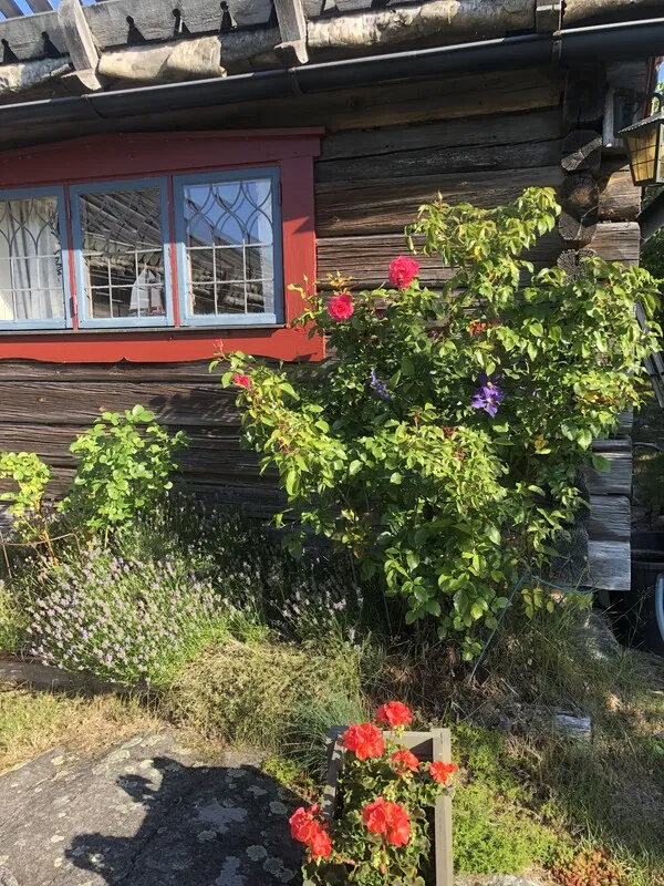 Mid-Century 3-Bedroom Cabin with Expansive Grounds in Scenic Dalarö, Sweden - View image 44 of 50