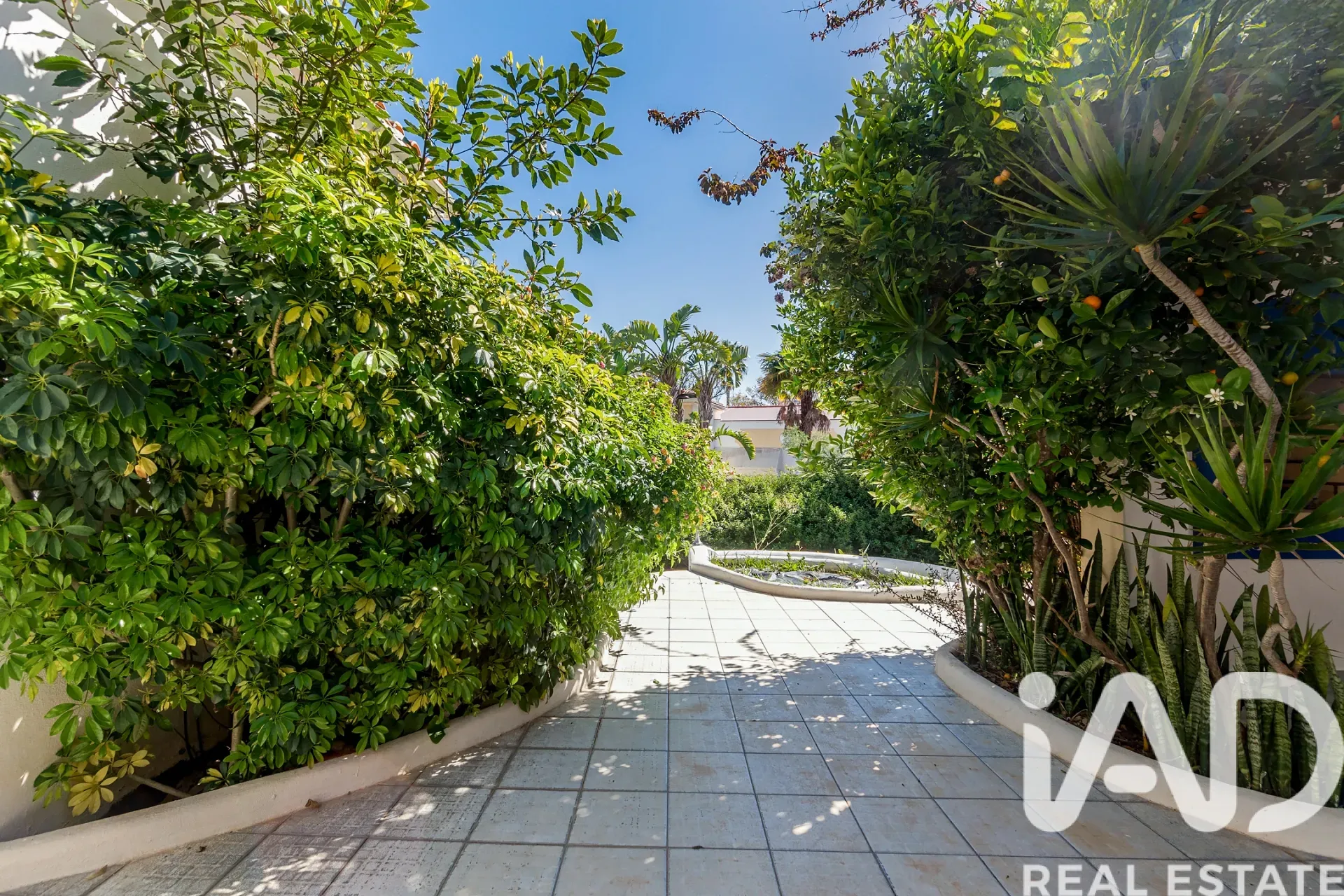 Spacious 3-Bedroom House with Terrace and Parking in Sunny Portimão - View image 11 of 37