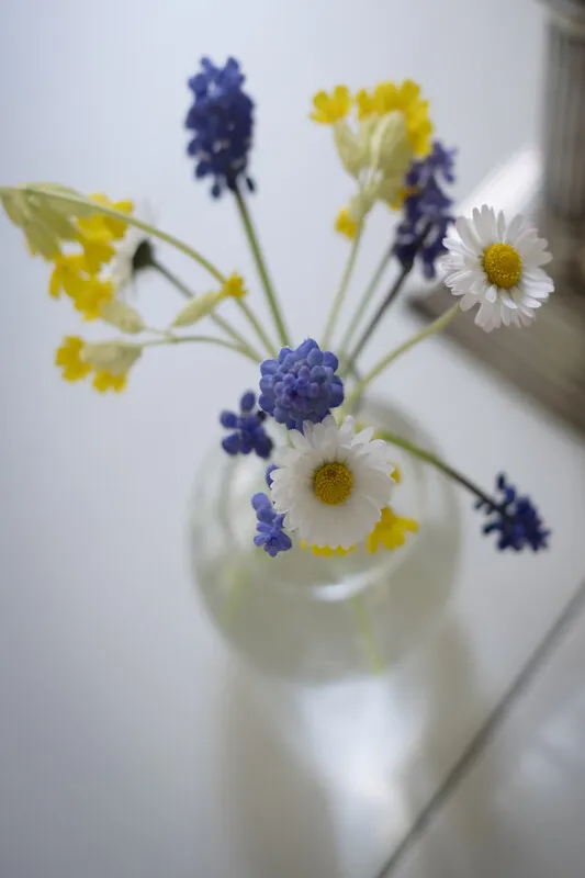 Une maison de campagne suédoise des années 1940 avec un vaste jardin à Vaxholm, près de Stockholm - Voir l'image 25 sur 46