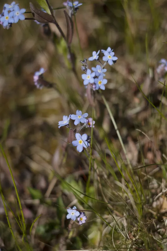 Une maison de campagne suédoise des années 1940 avec un vaste jardin à Vaxholm, près de Stockholm - Voir l'image 33 sur 46