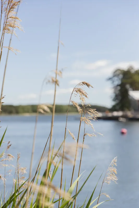 Une maison de campagne suédoise des années 1940 avec un vaste jardin à Vaxholm, près de Stockholm - Voir l'image 41 sur 46