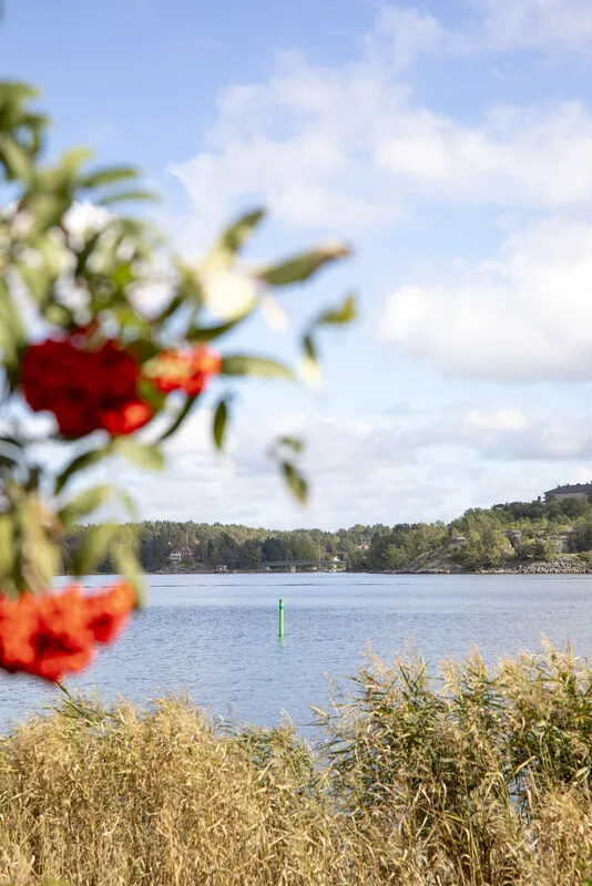 Une maison de campagne suédoise des années 1940 avec un vaste jardin à Vaxholm, près de Stockholm - Voir l'image 42 sur 46