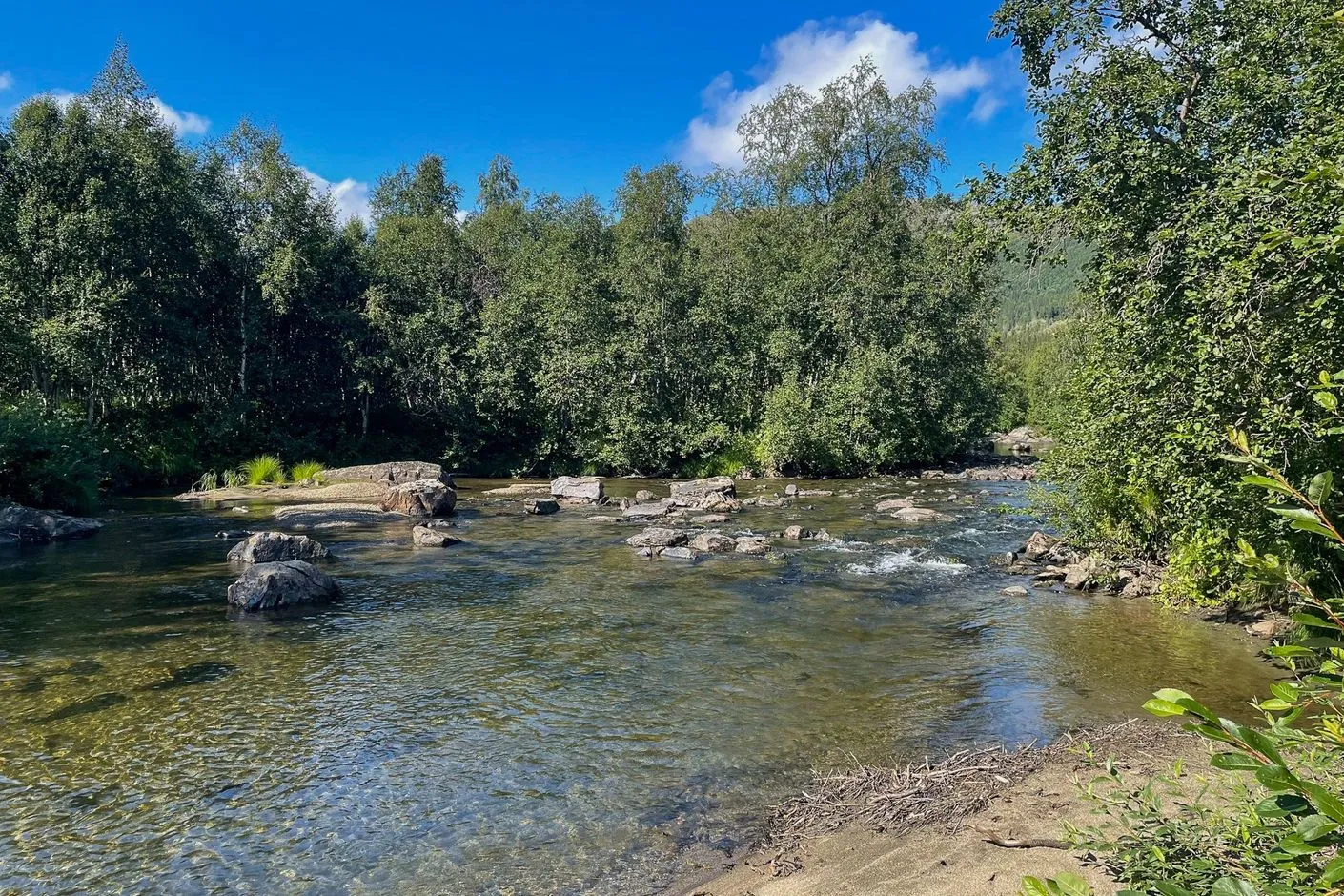 1940s Swedish House with Expansive Grounds and Wood Heating in Matsdal - View image 31 of 37