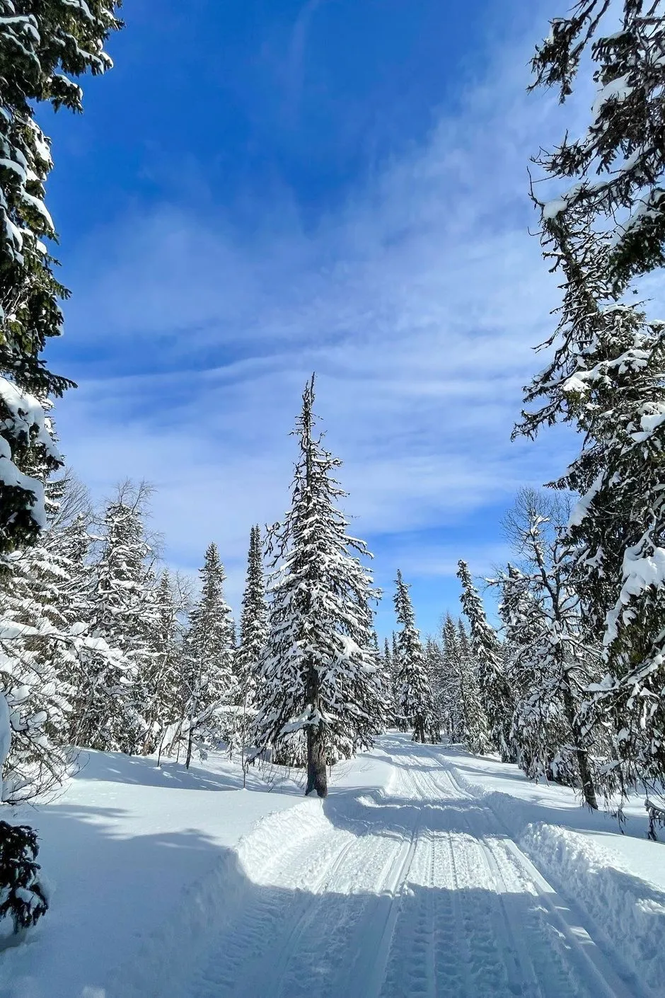 1940s Swedish House with Expansive Grounds and Wood Heating in Matsdal - View image 33 of 37