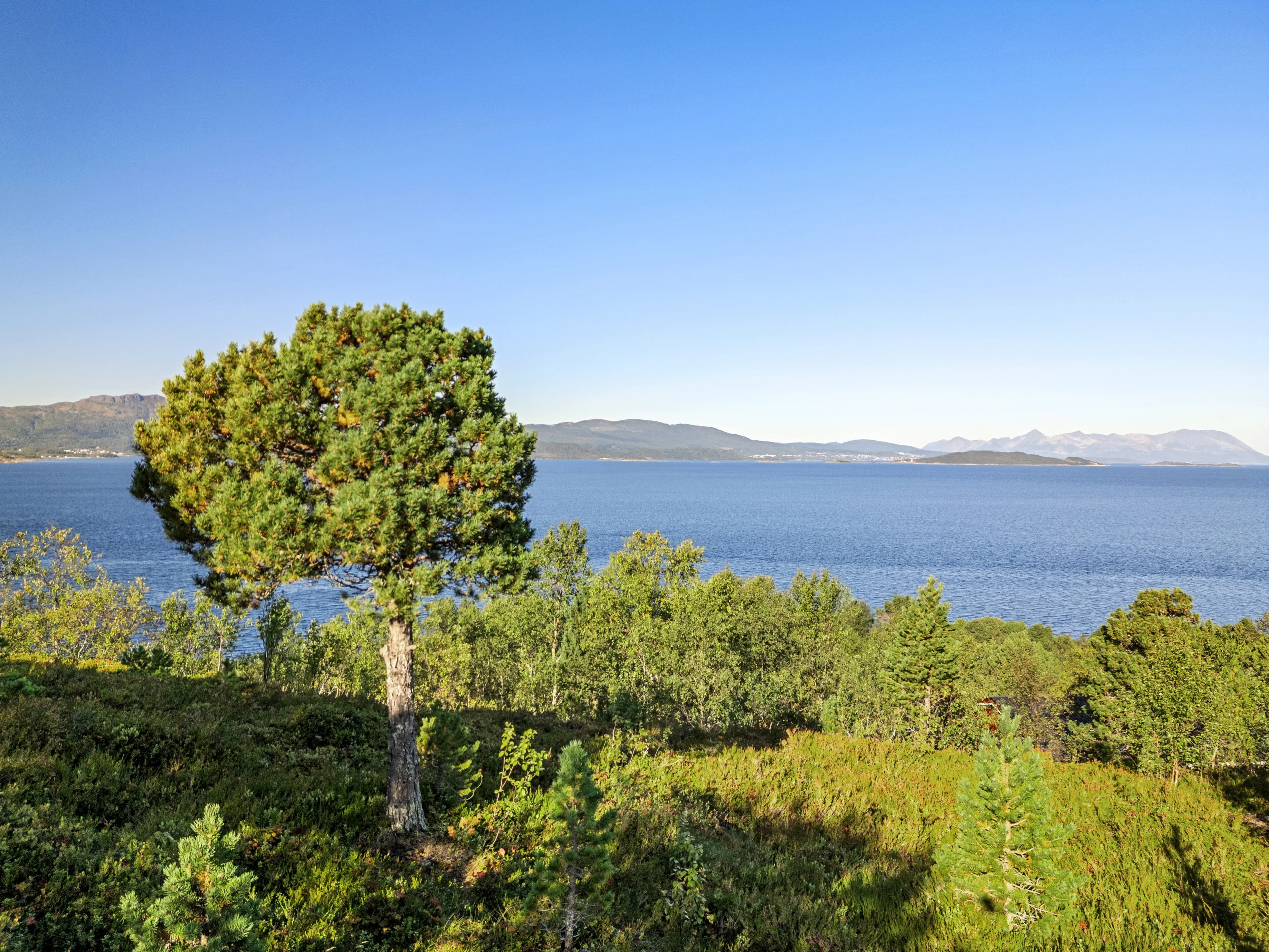 1980s Norwegian House with Terrace and Boat Access in Tovik - View image 43 of 51