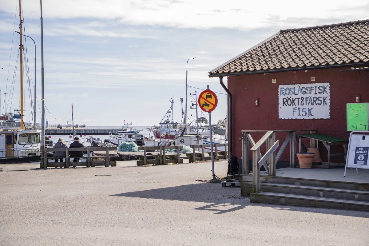 Contemporary 2-Bedroom House with Expansive Garden in Scenic Swedish Countryside - View image 36 of 41