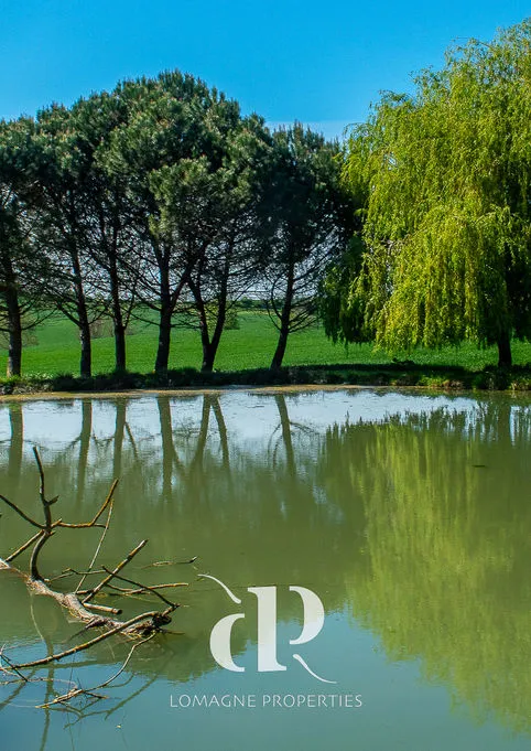 Expansive 5-Bedroom Home with Pool and Lake in Scenic Gers, France - View image 14 of 26